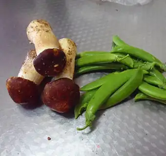 Make Pinebeans step 0