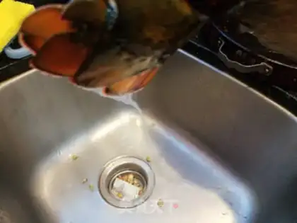 Make A fan with garlic and lobster step 2