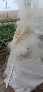 Make Chicken leg step 14