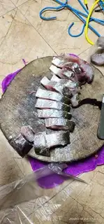 Make Squidfish step 1