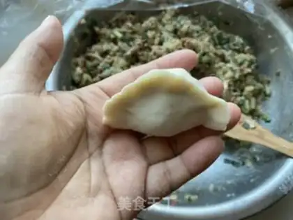 Make The radish greasy pork dumpling step 21