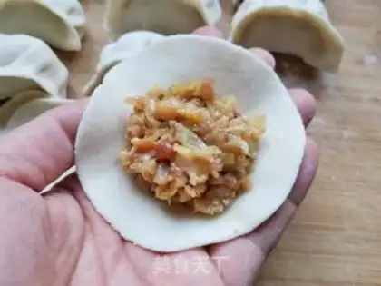 Make Sour pork dumplings step 4