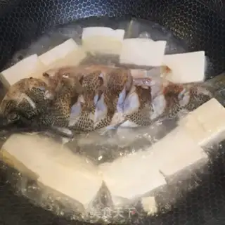 Make Tofu from the bass stew step 4