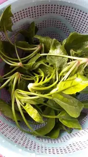 Make Pinefish noodles step 0