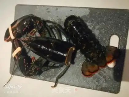 Make Garlic Boston lobster step 4
