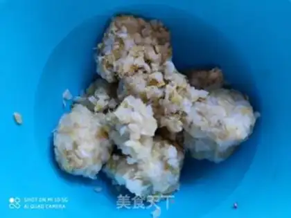 Make Sour dumplings step 0