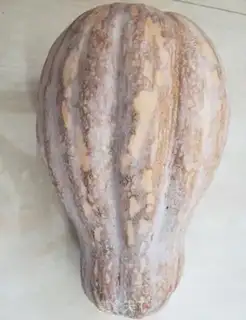 Make Steam pumpkin step 0