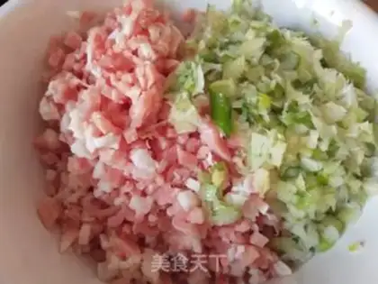 Make Meat dumplings step 0