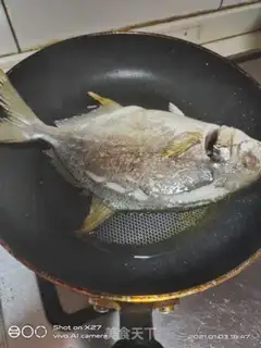 Make Squidfish step 1