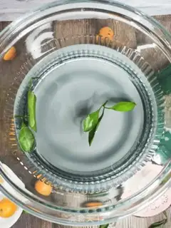 Make Iced sugar and orange tea step 1