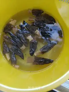 Make Sheep beetles and gravy step 0