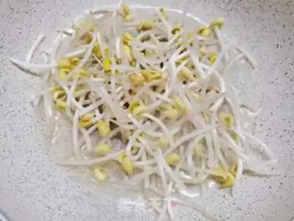Make Soybeans sprouts, guacamole step 3