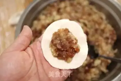 Make Pork dumplings step 8