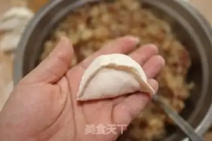Make Pork dumplings step 9