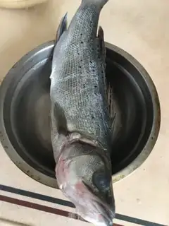 Make Red burning sea bass step 0