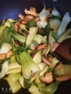 Make Mushroom oil step 4