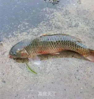 Make Porridge fish step 0