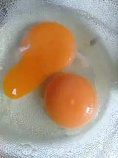 Make Eggcake step 0