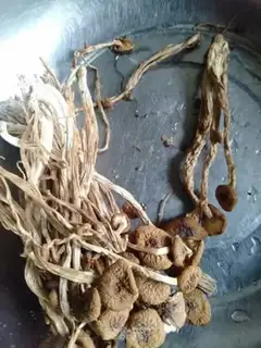 Make Dry-burn tea, mushrooms step 0