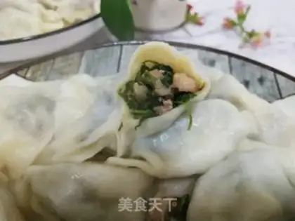 Make Frozen celery pork dumplings step 8