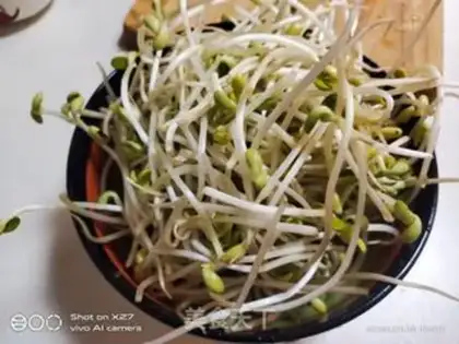 Make Rhodish radish sprouts step 1