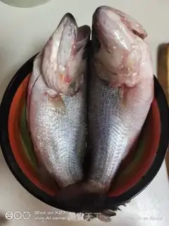 Make The bean petals burn the bass step 0