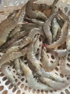 Make Shrimp with oil step 0