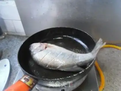 Make Plumfish step 2