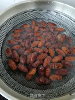 Make Dry ricin step 1