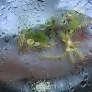 Make Skin of slugs step 5
