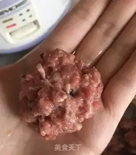 Make Pills of beef step 6