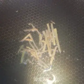 Make Duck tofu soup step 5