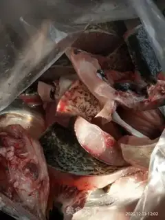 Make Waterbag step 1