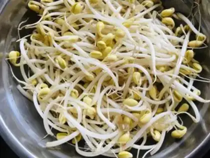 Make Soybean sprouts dry step 0