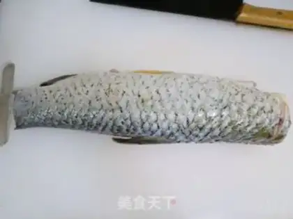 Make Squirt fish step 0