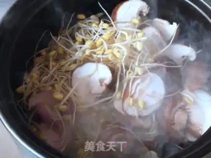 Make Pots of tomato step 7