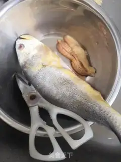 Make Vacuated yellowfish step 0
