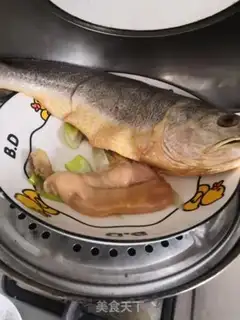 Make Vacuated yellowfish step 2
