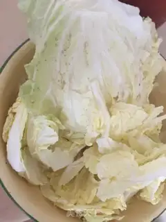 Make Doubleball cabbage soup step 0