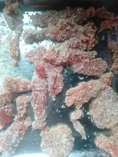 Make Frozen ridge step 7