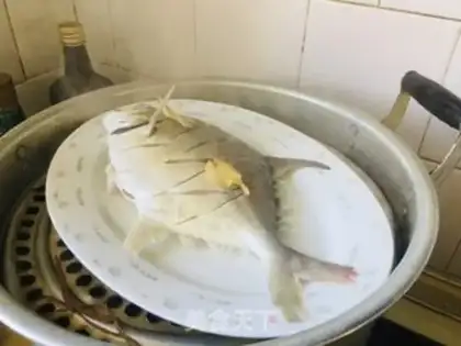 Make Vacuated goldfish step 1