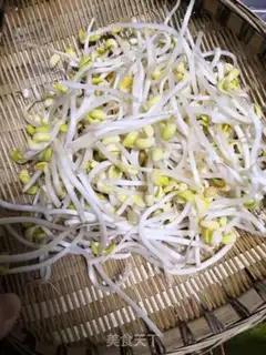 Make Sodium sprouts step 0
