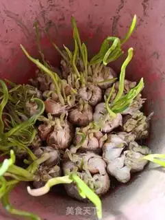 Make Garlic and intestines step 1