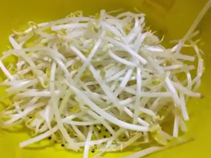 Make Scrambled bean sprouts step 2