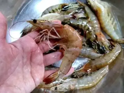 Make Sausage shrimp chops step 0