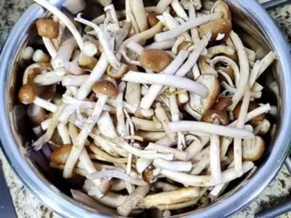 Make Tea mushrooms step 1