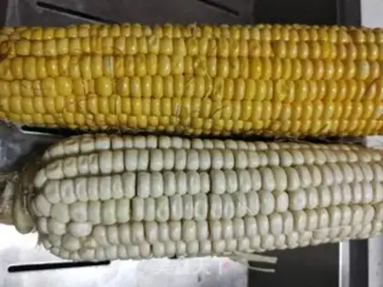 Make White corn step 0