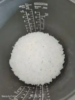 Make Bird