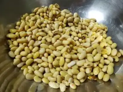 Make ♪ And the red soybeans in the snow ♪ step 5