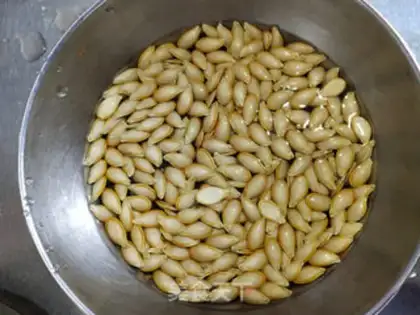 Make Salted pumpkins step 1